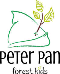 Grădinița Peter Pan Forest Kids