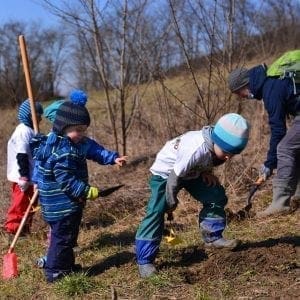 Forest garden – educational project