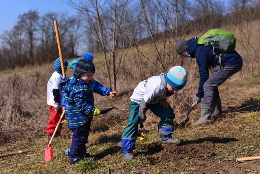 Grădina pădure – proiect educațional