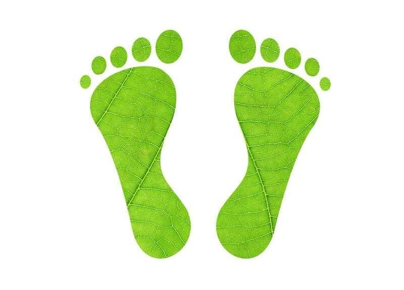 Amprenta ecologică- „Educația pentru mediu și școli sustenabile”