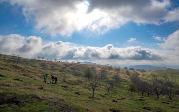 Acțiunea de plantare-primăvara 2025 Acțiunea de plantare-primăvara 2025