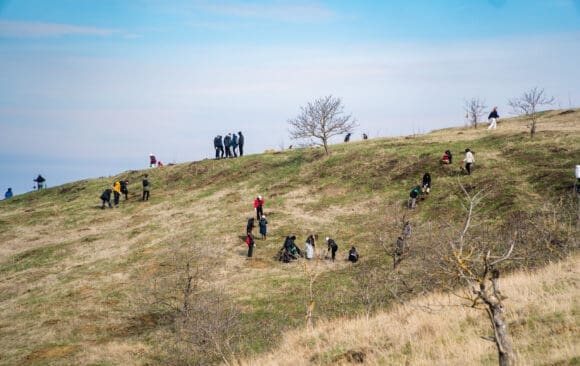 Tätigkeitsbericht – Frühling 2026