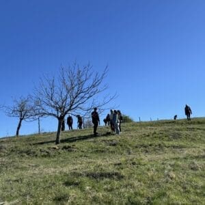 Raport de activități – primăvara 2026 Raport de activități – primăvara 2026