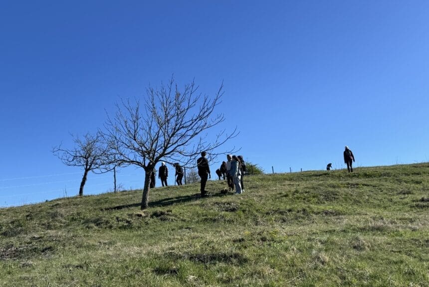 Raport de activități – primăvara 2026